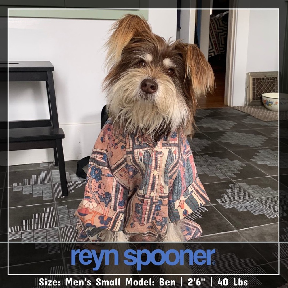 Reyn Spooner men’s short sleeve button up shirt